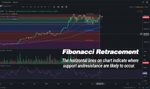 Fibonacci retracement: how to use it? And how to trade Fibonacci Levels?